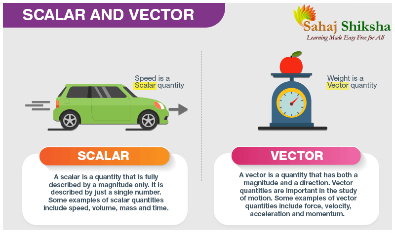 scalar & vector