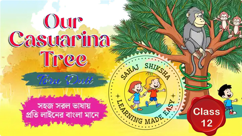 casuarina-tree-cl-12-sem-3_details